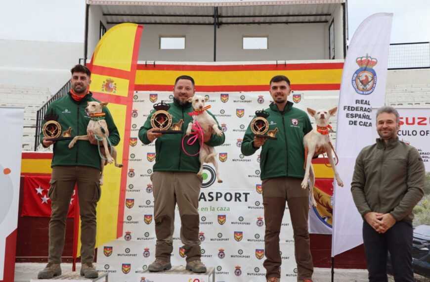 Andalucía Triunfa en el Campeonato de España de Trabajo para Podenco Andaluz, Maneto y Orito Español, Rozando el Pleno