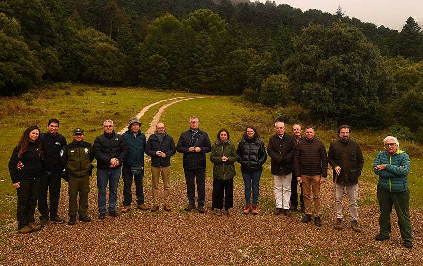 Andalucía y Aragón Unen Fuerzas con un Protocolo Pionero para Proteger el Pinsapo