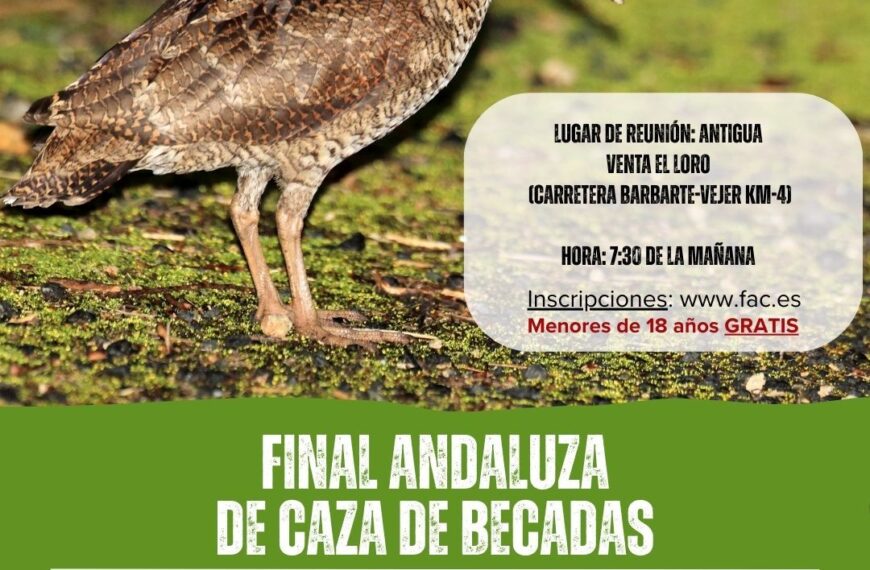 Apertura de Inscripciones para la Final Andaluza de Caza de Becadas en Barbate (Cádiz) el 3 de Enero – Federación Andaluza de Caza