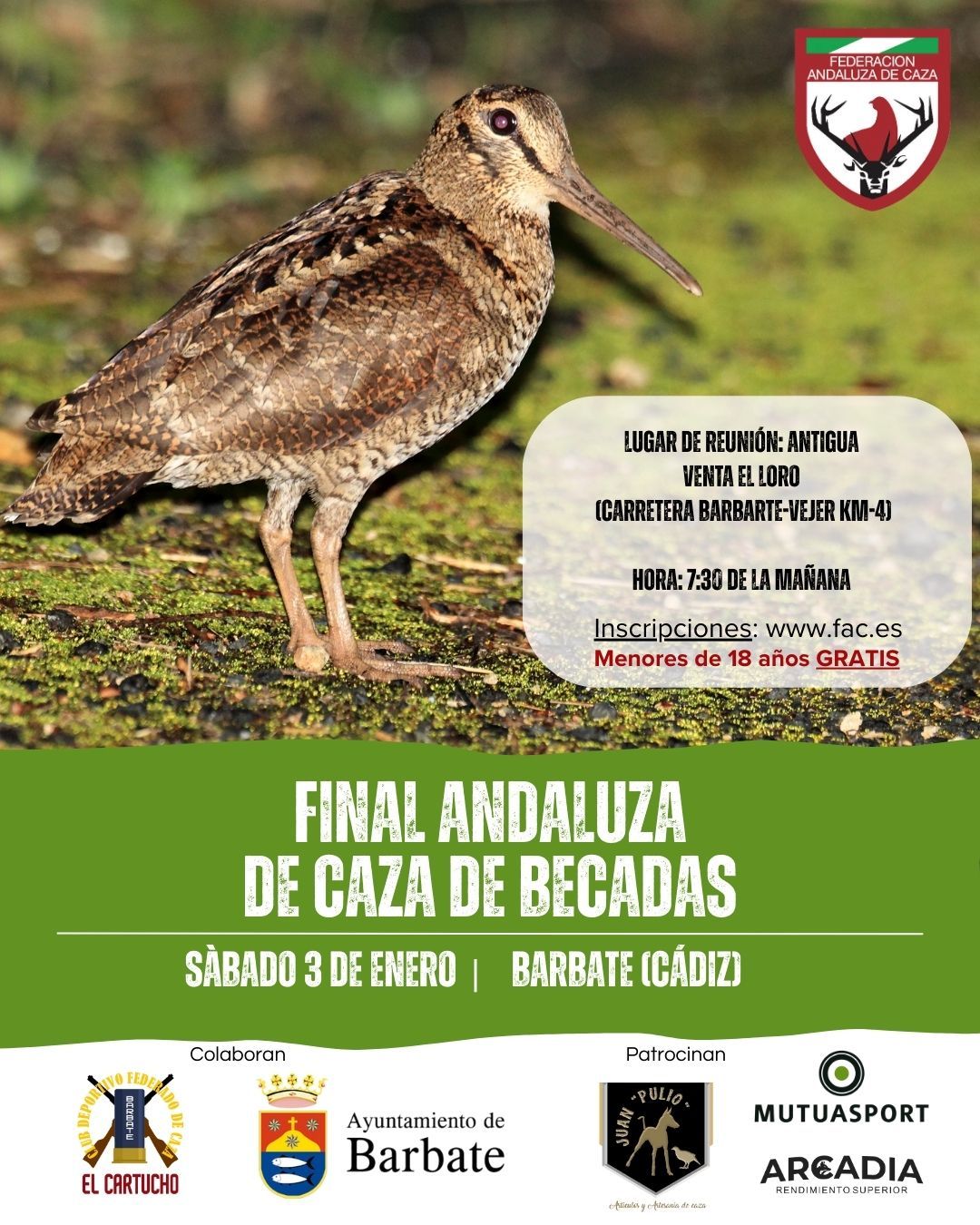 Apertura de Inscripciones para la Final Andaluza de Caza de Becadas en Barbate (Cádiz) el 3 de Enero – Federación Andaluza de Caza 1 Apertura de Inscripciones para la Final Andaluza de Caza de Becadas en Barbate (Cádiz) el 3 de Enero – Federación Andaluza de Caza