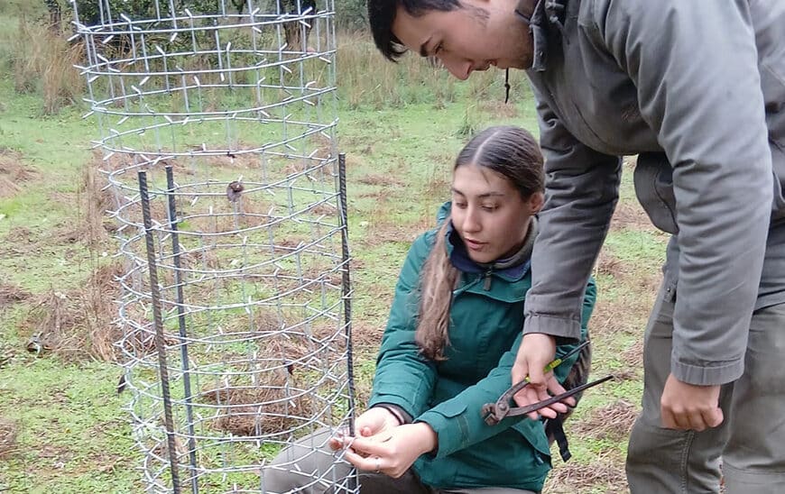 Aula al Aire Libre: Aprendiendo a Cuidar y Regenerar los Montes de la Dehesa de Sierra Morena