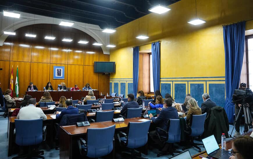 Automatización Acelera Resolución de Ayudas: 70% de Solicitudes de Empleo para Personas con Discapacidad Atendidas en Menos de Dos Meses