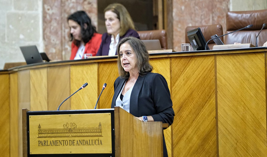 Avanza en el Parlamento la Ley para la Gestión Ambiental tras superar el debate de totalidad