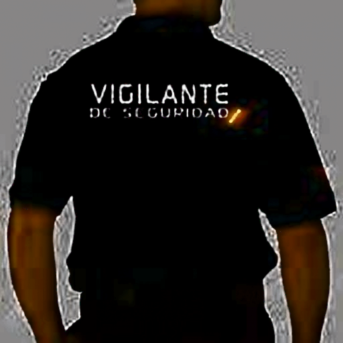 CCOO Lanza Nuevos Cursos de Seguridad y Vigilancia Privada 1 CCOO oferta el curso para la obtención de la certificación de profesionalidad de seguridad privada.