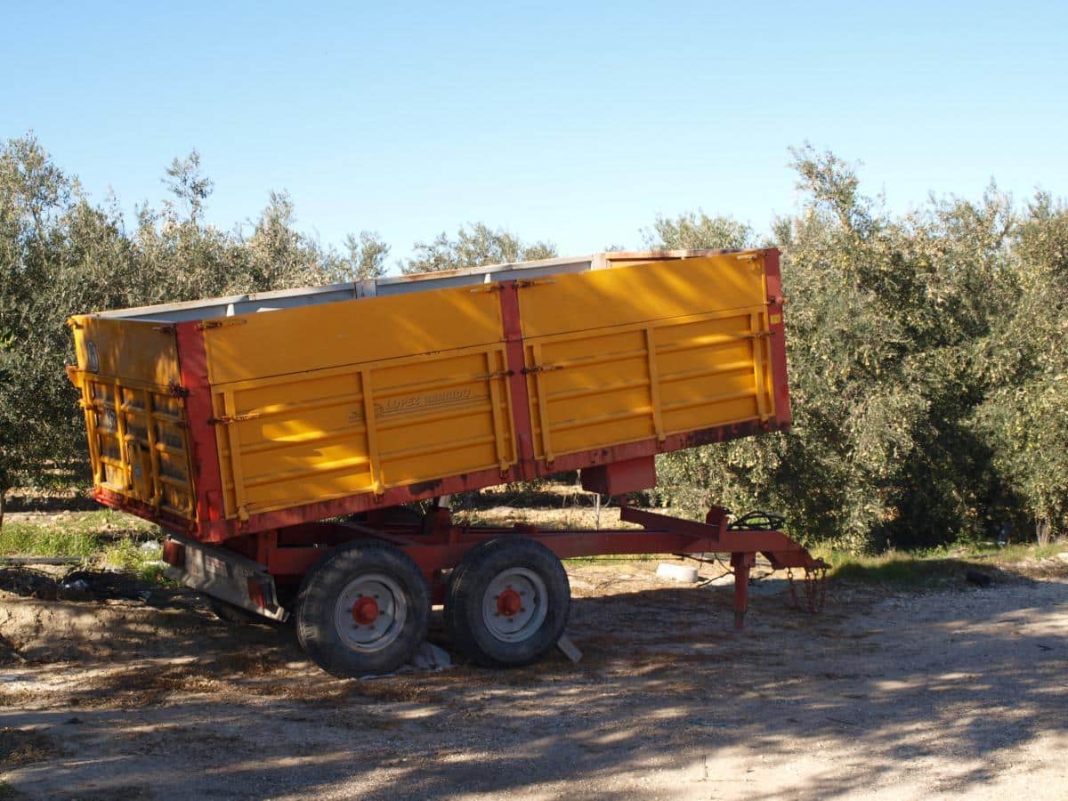Córdoba Mantiene un Mercado Laboral Estancado a Pesar de la Reducción del Paro en Noviembre 1 Las campañas agrícolas y de servicios siguen sustentando el mercado laboral cordobés.