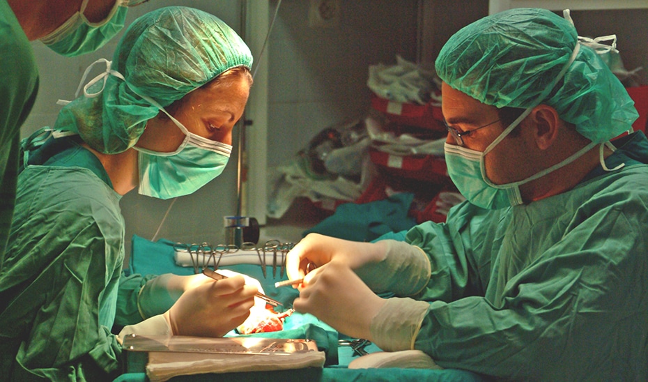 Crecimiento del 28% en la Plantilla del Servicio Andaluz de Salud desde 2019 1 Crecimiento del 28% en la Plantilla del Servicio Andaluz de Salud desde 2019