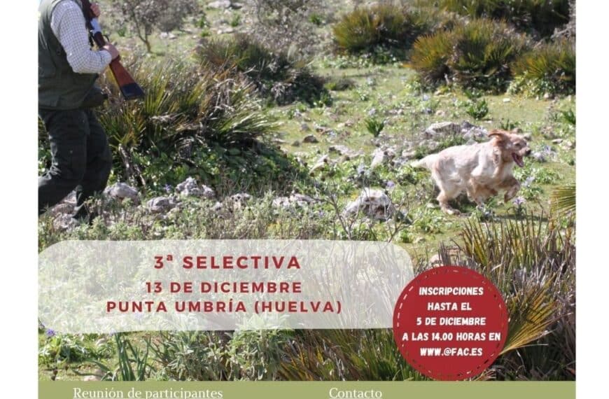 El Andaluz de San Huberto se traslada a Punta Umbría este sábado para su tercera selectiva - Federación Andaluza de Caza