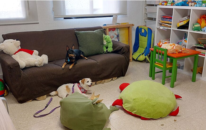 El Destacamento Canino: Cami, Canela, Rai y Lina al Servicio de la Justicia Andaluza