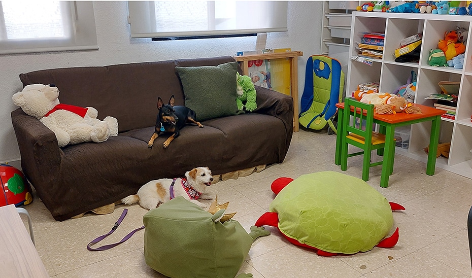 El Destacamento Canino: Cami, Canela, Rai y Lina al Servicio de la Justicia Andaluza 1 El Destacamento Canino: Cami, Canela, Rai y Lina al Servicio de la Justicia Andaluza