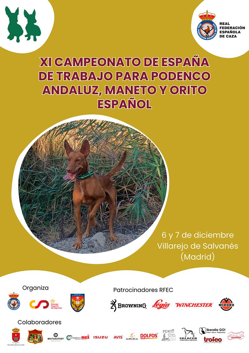 El Equipo Andaluz de Podenco Andaluz, Maneto y Orito Aspira a Revalidar Éxitos en el Campeonato de España