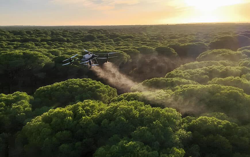 El Gobierno Andaluz Inicia Tratamientos Aéreos Innovadores contra la Procesionaria del Pino