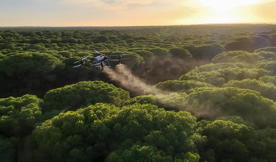 El Gobierno Andaluz Inicia Tratamientos Aéreos Innovadores contra la Procesionaria del Pino 1 El Gobierno Andaluz Inicia Tratamientos Aéreos Innovadores contra la Procesionaria del Pino