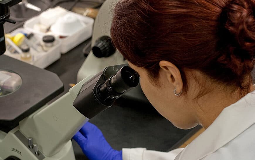 El Gobierno Andaluz Lanza Ayudas de 10,96 Millones para la Formación de 97 Investigadores Predoctorales