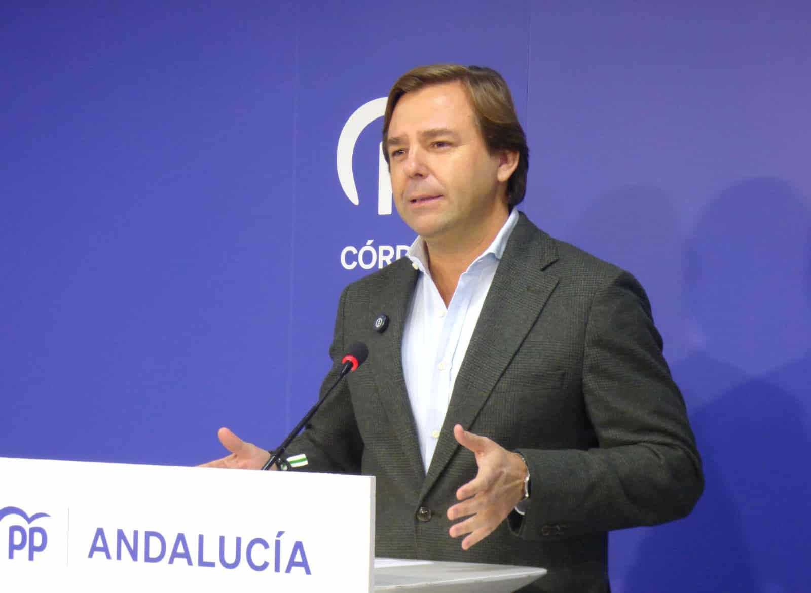El Partido Popular de Andalucía advierte: 'No puede seguir engañando' 1 Antonio Repullo, durante la rueda de prensa de este viernes en la que ha pedido explicaciones a Montero sobre la trama socialista