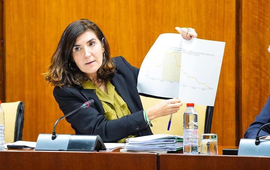 Impacto del SAE: Cerca de 490.000 Beneficiarios Alcanzados en la Actual Legislatura