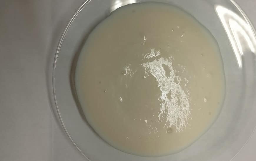 Investigadores Andaluces Crean Salsa Natural sin Estabilizantes Usando Vaina de Guisante