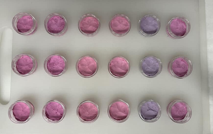 Investigadores Andaluces Desarrollan Colorantes Alimentarios Naturales y Resistentes a Base de Arándanos