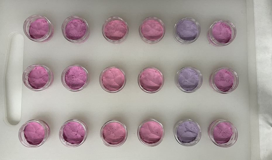 Investigadores Andaluces Desarrollan Colorantes Alimentarios Naturales y Resistentes a Base de Arándanos 1 Investigadores Andaluces Desarrollan Colorantes Alimentarios Naturales y Resistentes a Base de Arándanos