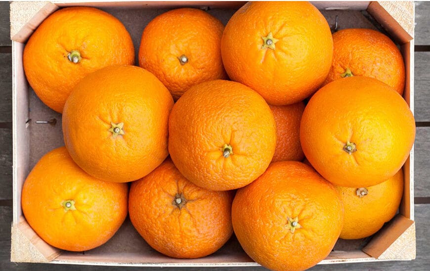 Investigadores de la UAL Optimizan la Detección de Pesticidas y Frutas para Fortalecer la Seguridad Alimentaria