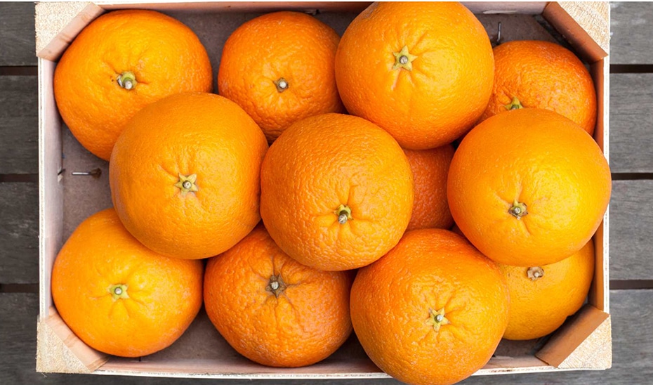 Investigadores de la UAL Optimizan la Detección de Pesticidas y Frutas para Fortalecer la Seguridad Alimentaria 1 Investigadores de la UAL Optimizan la Detección de Pesticidas y Frutas para Fortalecer la Seguridad Alimentaria