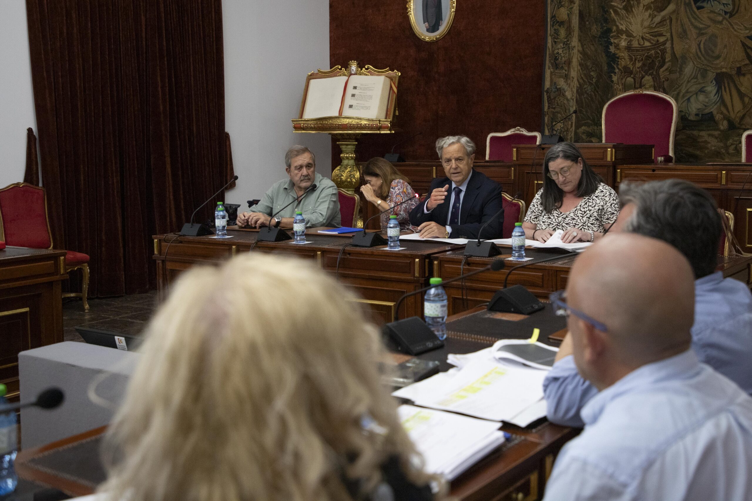 La Diputación de Córdoba anuncia ayudas para planes municipales contra el Virus del Nilo 1 La Diputación de Córdoba anuncia ayudas para planes municipales contra el Virus del Nilo