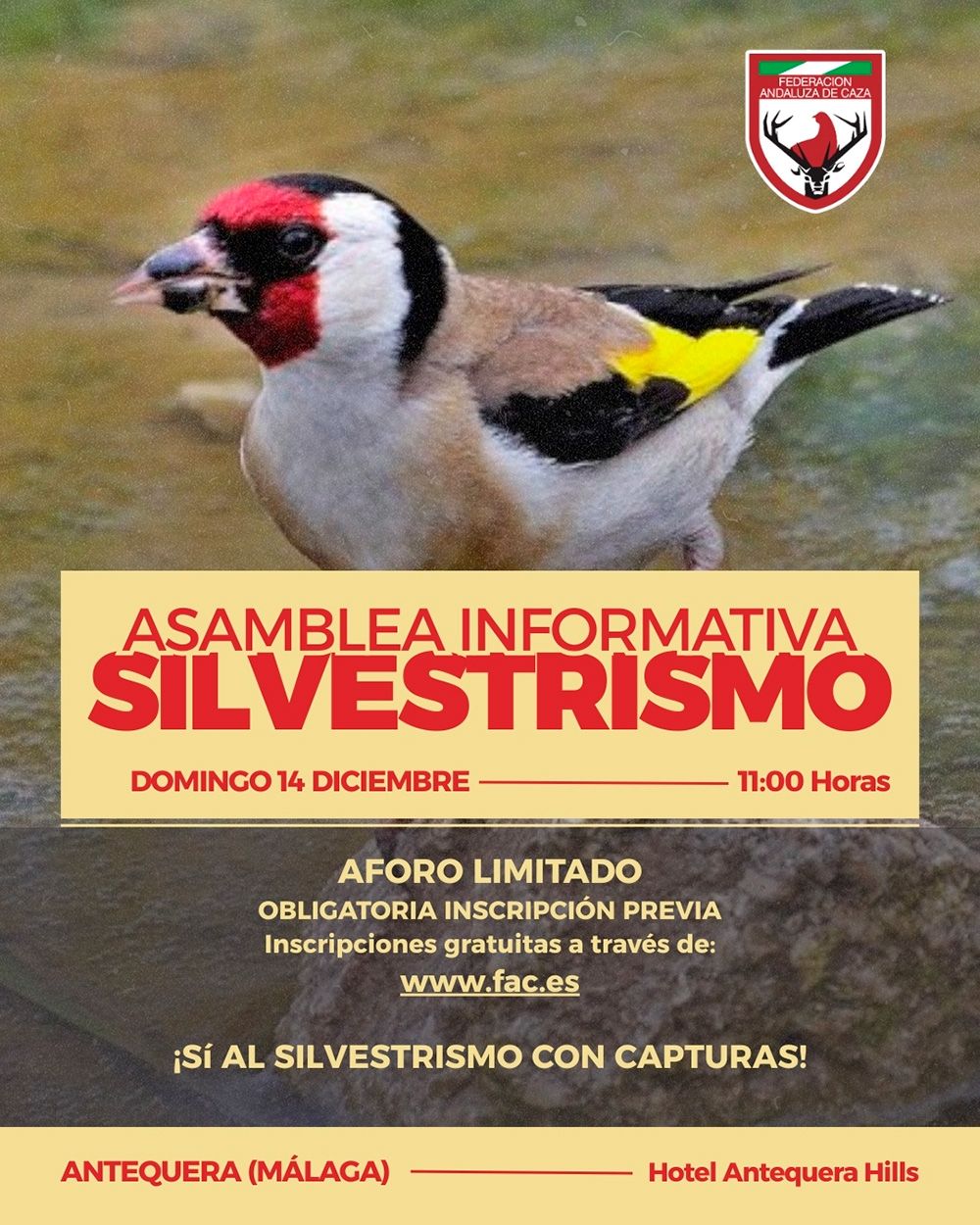 La FAC Convoca Asamblea Informativa sobre Silvestrismo el 14 de Diciembre en Antequera