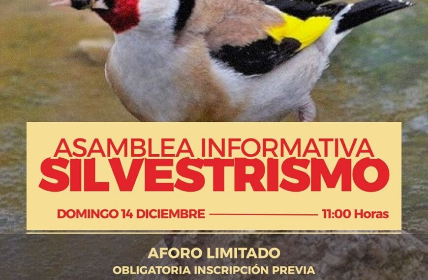 La FAC convoca asamblea informativa sobre Silvestrismo este domingo con más de 150 representantes de clubes y peñas