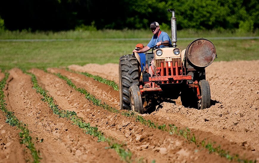 La Junta Destina 310 Millones de la PAC a Beneficiar a 194,000 Agricultores Andaluces