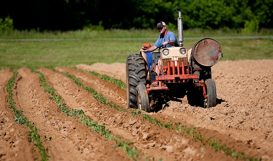 La Junta Destina 310 Millones de la PAC a Beneficiar a 194,000 Agricultores Andaluces 1 La Junta Destina 310 Millones de la PAC a Beneficiar a 194,000 Agricultores Andaluces