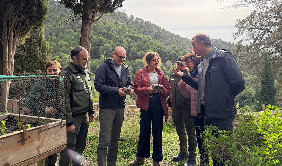 La Junta Invierte 6,3 Millones en la Conservación del Parque Natural Montes de Málaga desde 2019 1 La Junta Invierte 6,3 Millones en la Conservación del Parque Natural Montes de Málaga desde 2019