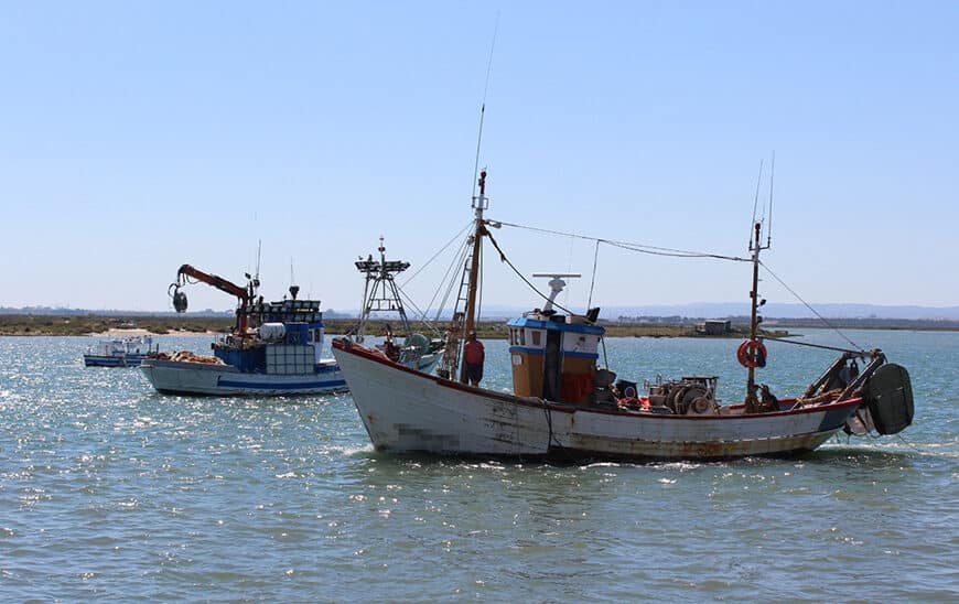 La Junta destina 4,7 millones de euros en ayudas para la paralización temporal de la actividad pesquera