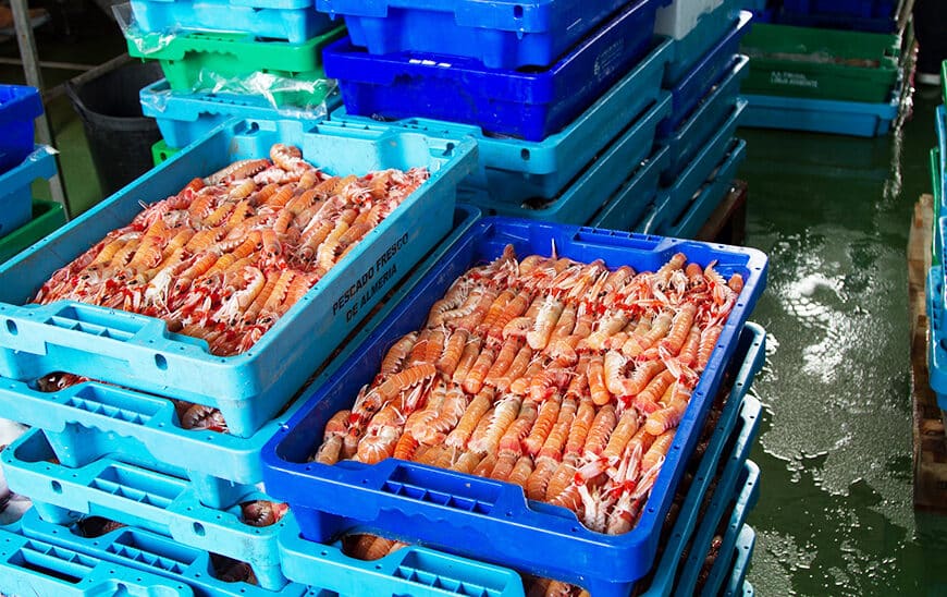 La Junta invierte 5 millones para promover la transición verde en la industria pesquera y acuícola