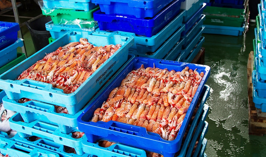 La Junta invierte 5 millones para promover la transición verde en la industria pesquera y acuícola