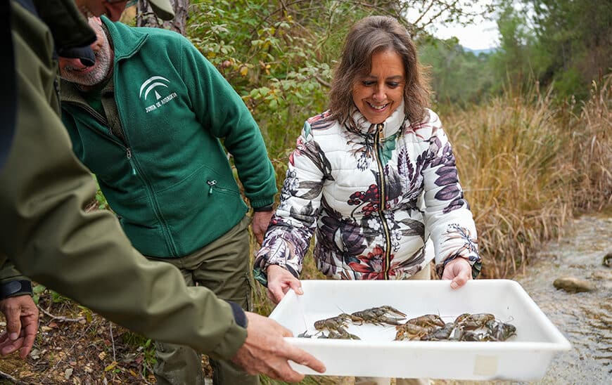 Modernización del Centro de Cría de Fauna Acuática Autóctona Río Borosa Recibe Inversión de Más de 828.000 Euros