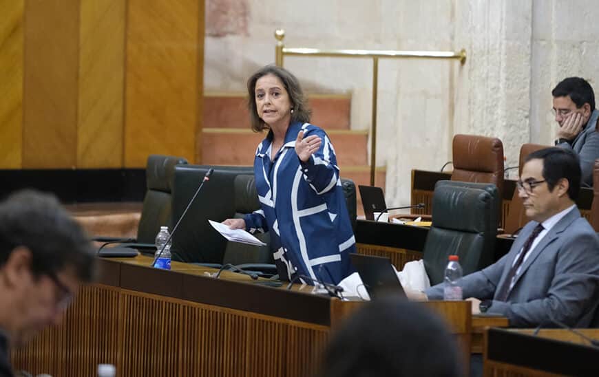 Nuevas Ayudas para la Acción Climática en Municipios Andaluces: Impulso a la Sostenibilidad