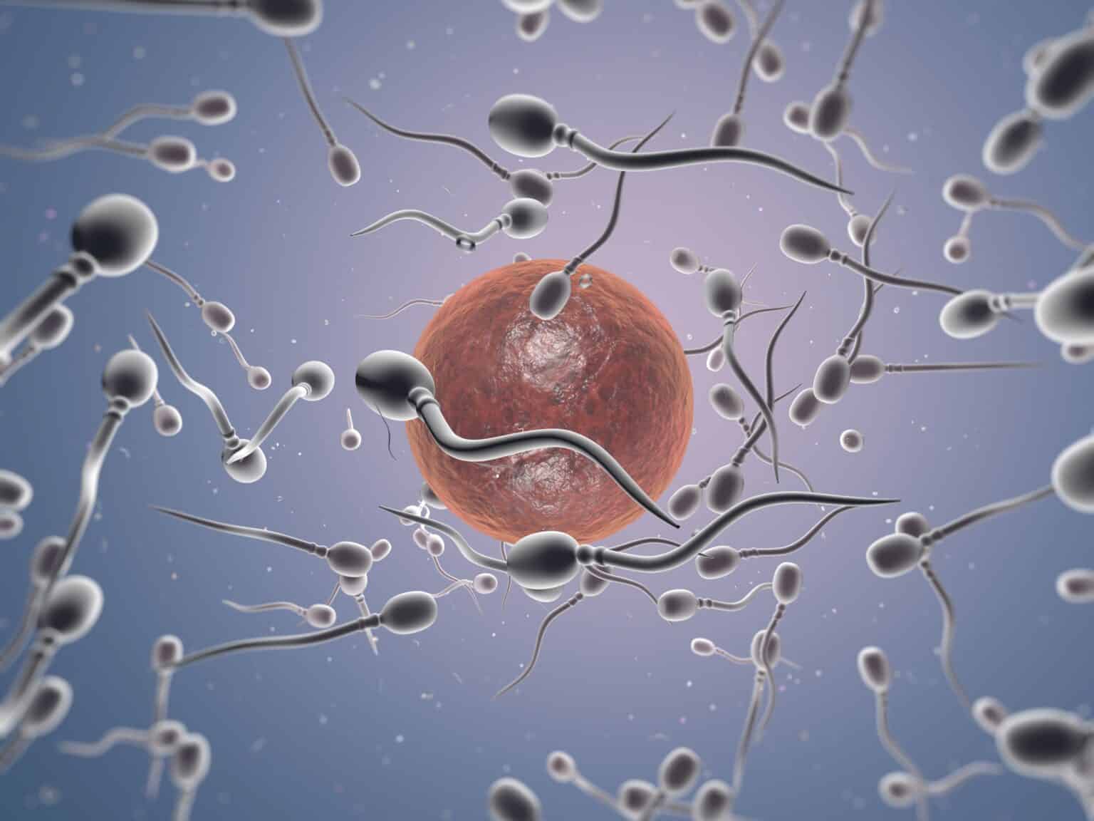 Preservación de la Fertilidad: Equilibrando Maternidad y Metas Personales 1 Dra. Miren Mandiola, directora del Laboratorio de Reproducción Asistida del Hospital de Día Quirónsalud Donostia: "Preservar la fertilidad permite a la mujer conciliar maternidad y proyectos personales"