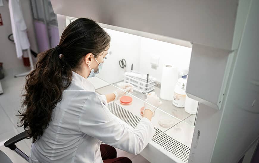 Récord Histórico en Andalucía: Más de 33.000 Personas Empleadas en I+D, Impulsando la Ciencia al Máximo