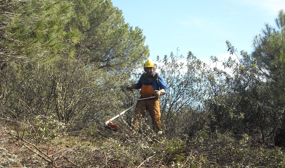 Se Aprueban las Bases de Ayudas para Inversiones en Gestión Forestal y Prevención de Incendios 1 Se Aprueban las Bases de Ayudas para Inversiones en Gestión Forestal y Prevención de Incendios