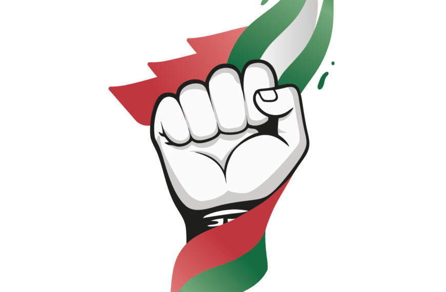 USTEA Denuncia las Condiciones de Vida de las Personas Trabajadoras Migrantes en Huelva y Almería