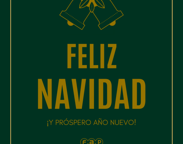 ¡Celebrando la Alegría de las Fiestas!
