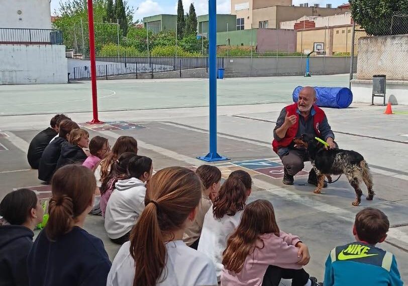 Abierto el Plazo para Solicitar el Taller 'Mi Perro es de Caza' en Centros Educativos: Federación Andaluza de Caza Anuncia Inicio el 23 de Enero