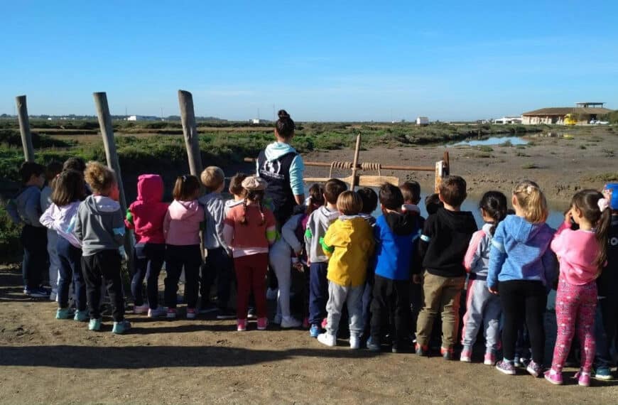 Actividades de Formación Medioambiental Puestas en Marcha por la Diputación
