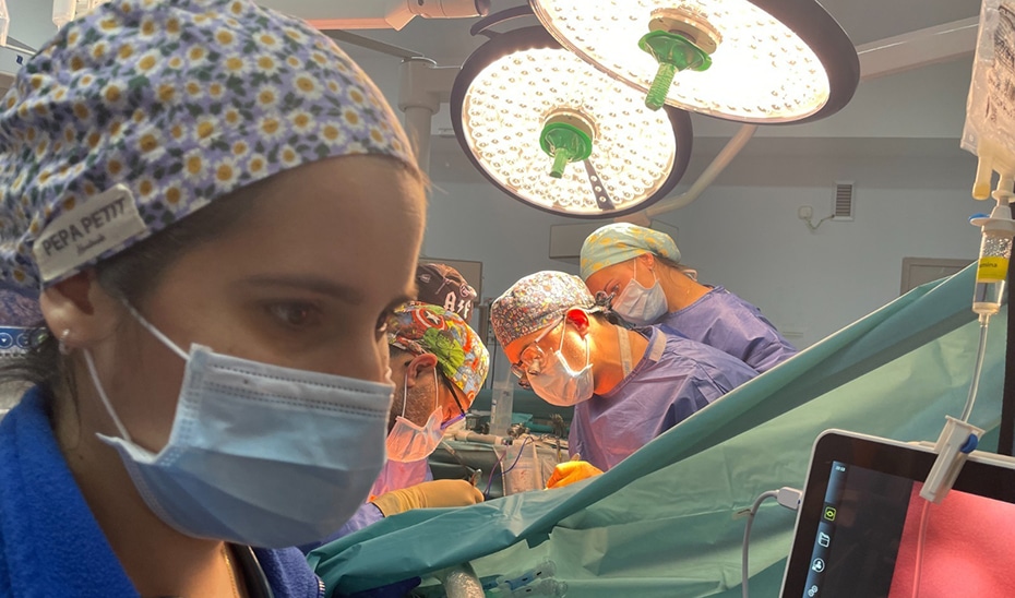 Andalucía Establece Récord Histórico con 875 Donantes de Órganos y Tejidos 1 Andalucía Establece Récord Histórico con 875 Donantes de Órganos y Tejidos