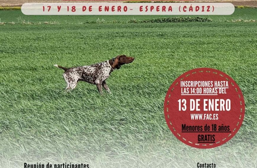 Apertura de Inscripciones para la Final Andaluza de Perros de Muestra 2026 – Federación Andaluza de Caza