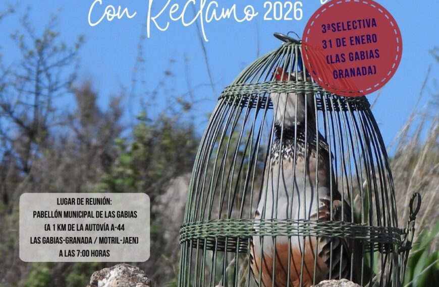 Aplazamiento de la 3ª Selectiva de la Copa de Andalucía de Perdiz con Reclamo al 31 de enero por Inclemencias Meteorológicas - Federación Andaluza de Caza