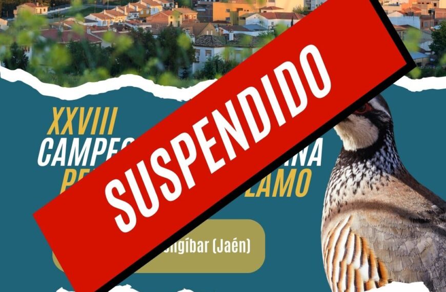 Cancelación del Campeonato de España de Perdiz con Reclamo 2026 por la Federación Andaluza de Caza