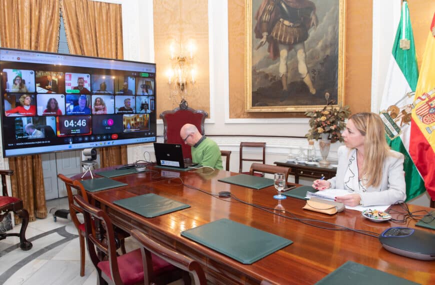 Celebración del Pleno de Enero de Forma Telemática
