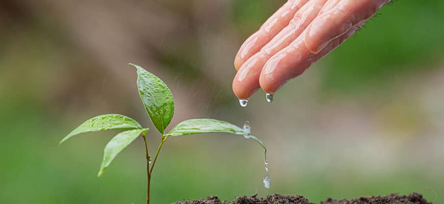 Desafíos Clave del Sector para 2026: Agua, Mano de Obra y Relevo Generacional