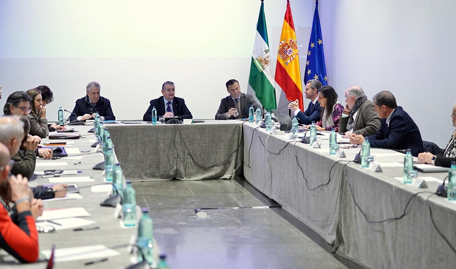 El Consejo Andaluz del Fuego Aprueba Decreto para la Coordinación y Organización de los Bomberos 1 El Consejo Andaluz del Fuego Aprueba Decreto para la Coordinación y Organización de los Bomberos