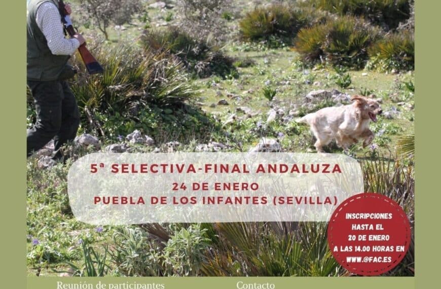 El San Huberto Andaluz culmina en La Puebla de los Infantes con gran expectación - Federación Andaluza de Caza